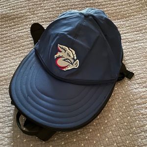 Iron Pigs Minor League Back Pack- Hat